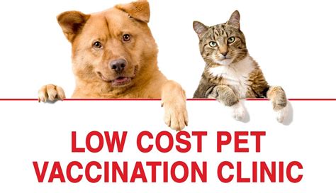 pet vaccinations mcdonough|Get Free & Low Cost Vaccines for Your Pets .